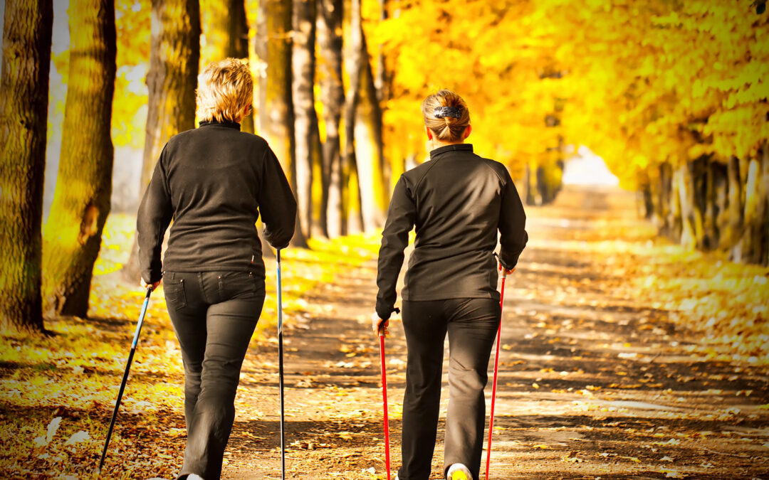 Fit durch die Herbstferien – Unser Ferienplan