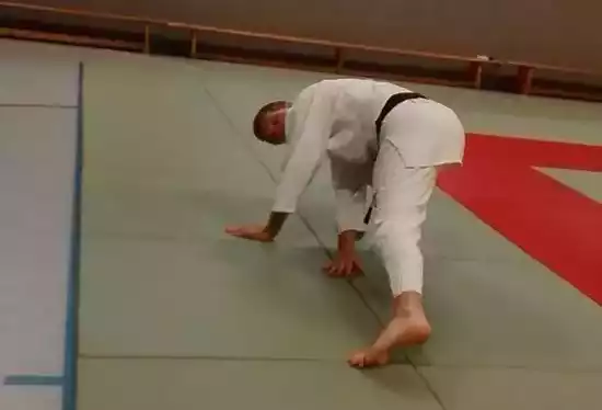 Onlinesport Jiu Jitsu Kopie 2