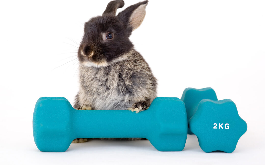 Sport in den Osterferien